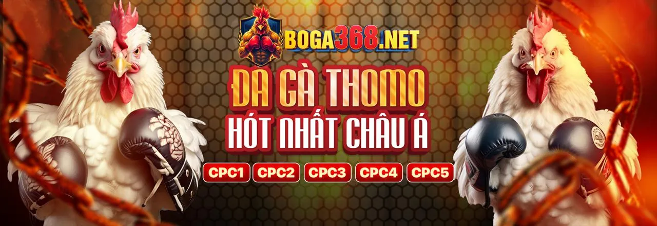 Chính sách Cookie của tải 6686bet