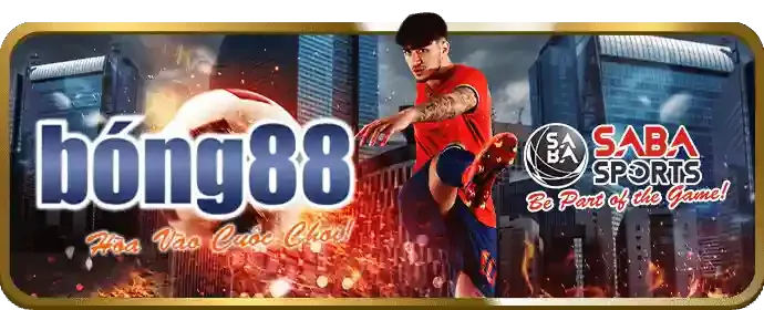 Ưu đãi Đá Gà 6686bet